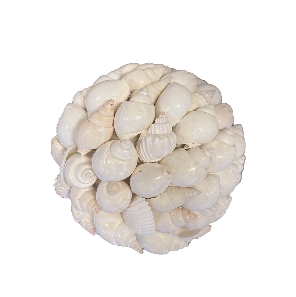 Arlette Dekor Skjell (10*10*10)